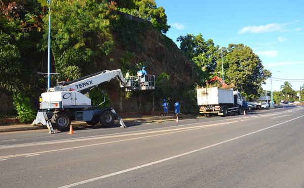 Faa'a : la  population doit prendre ses dispositions pour élaguer