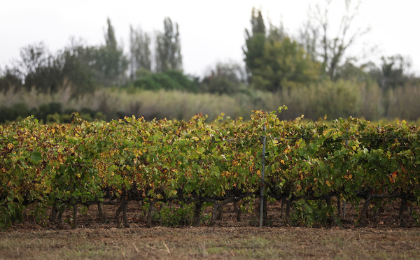 France: les microplastiques omniprésents dans les sols, selon l'Ademe
