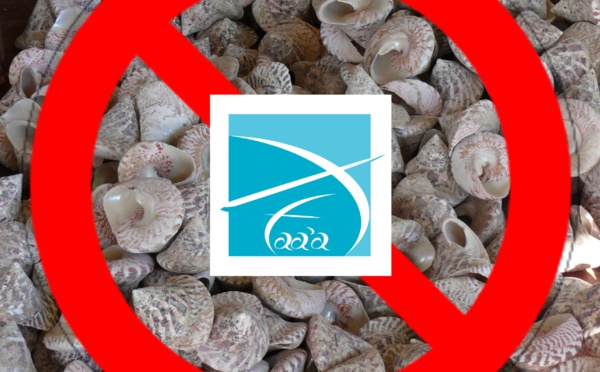 Pêche aux trocas interdite à Faa'a