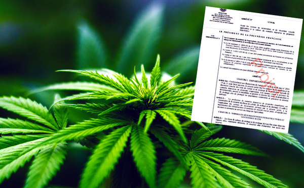 “Tout le monde a cru”