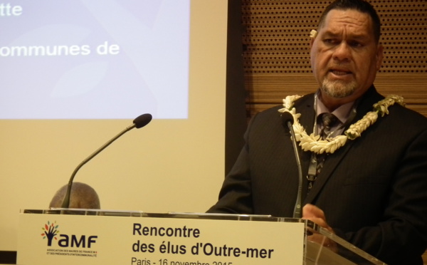 Les idées des tavana pour réformer les communes associées