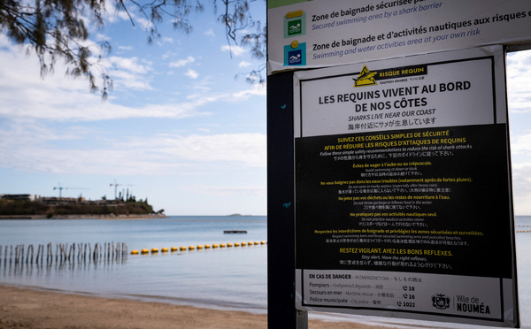 Attaque mortelle de requin en Nouvelle-Calédonie