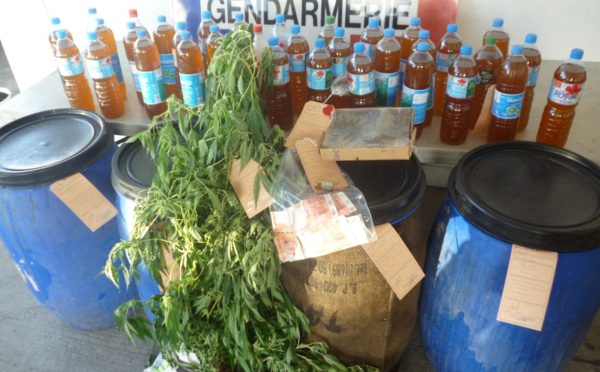 Papara : pakalolo et komo pour arrondir ses fins de mois