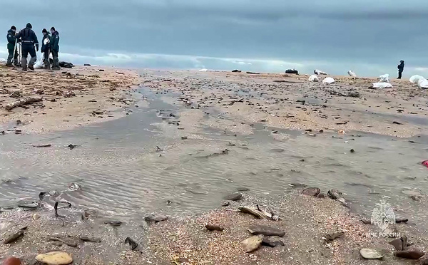 Marée noire en Crimée: crainte d'une arrivée massive de mazout sur les côtes