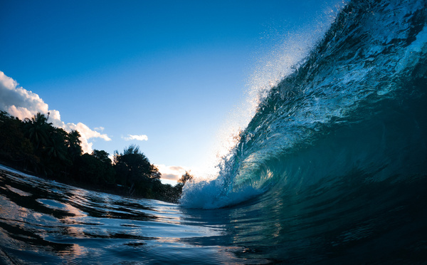 Labellisation des projets “La mer en commun”