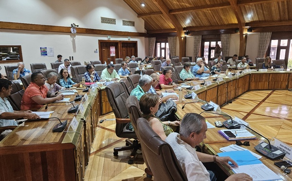Le Cesec dépose son opposition sous le porche de la présidence