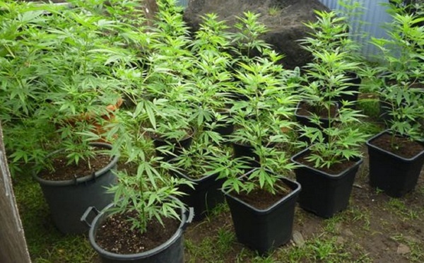 8 mois de prison pour un père toxico