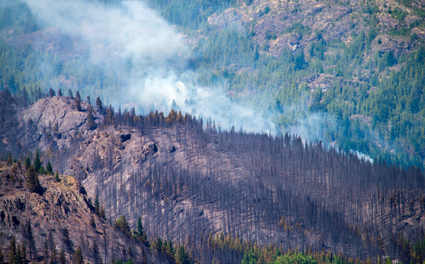 Argentine: 2.000 ha de forêt détruits par le feu, 200 foyers évacués en Patagonie