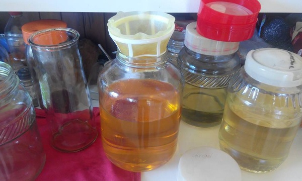 Redonner sa place à la médecine traditionnelle