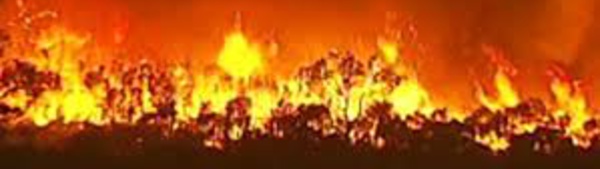 Deux morts dans des feux de forêt dans le sud de l'Australie
