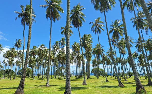 ​Une pétition contre les car-bass à Atimaono