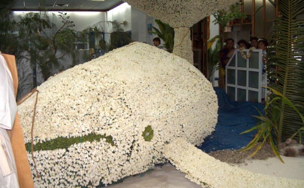 La 54ème édition des journées du Tiare Tahiti se tiendront du 2 au 4 décembre