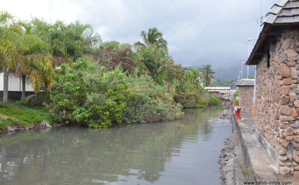 La Papeava, objectif "prioritaire" du plan d’actions rivières