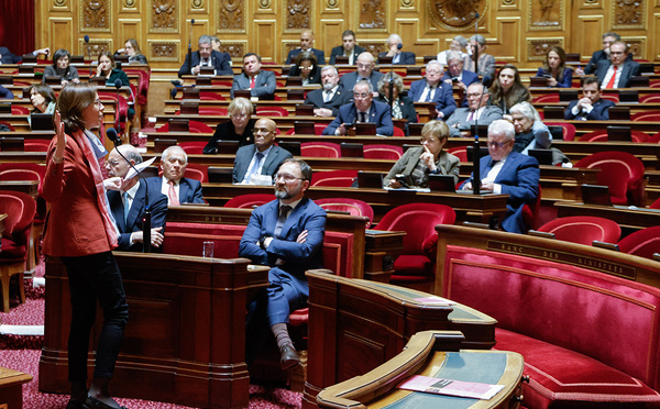 Le budget de Bayrou franchit l'étape du Sénat, le gouvernement toujours sous pression