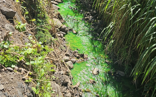 ​Etrange pollution à Faa’a