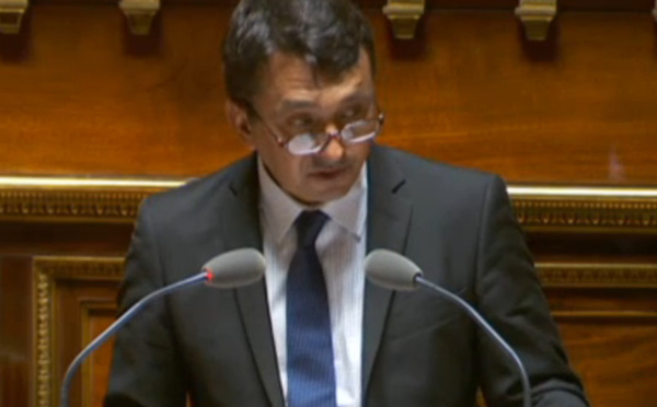 Budget outre-mer : l'amendement de Nuihau Laurey fâche George Pau-Langevin