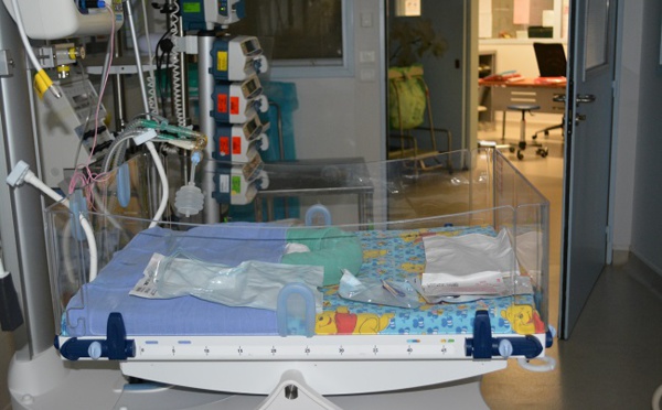 Zika : les études sur des malformations cérébrales chez des bébés ont démarré fin 2014