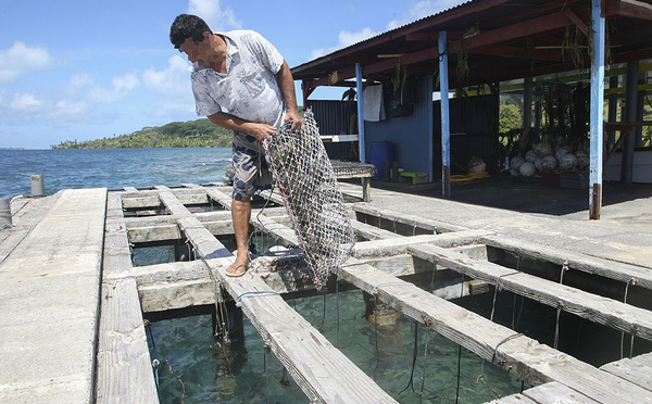 Anciennes fermes perlicoles : Des amendes en cascade pour sites non remis en état
