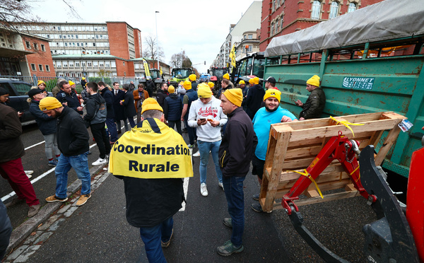 Elections agricoles: avec une large percée, la CR bouscule l'hégémonie FNSEA-JA