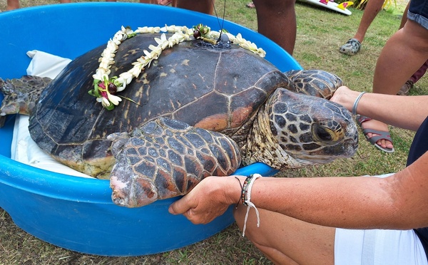 ​Tohonu retrouve l’océan à Taharu’u