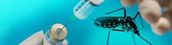 Le vaccin contre la dengue de Sanofi Pasteur, le premier au monde, autorisé au Mexique