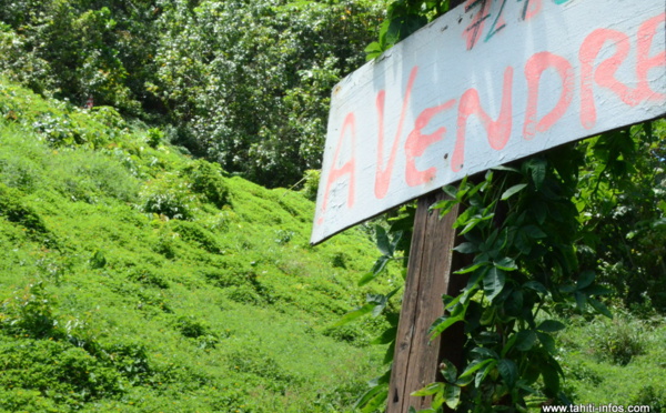 Foncier : une mission sénatoriale attendue en Polynésie