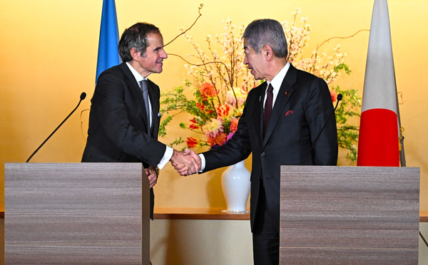 Nucléaire: le directeur de l'AIEA à Fukushima pour inspecter la décontamination des sols