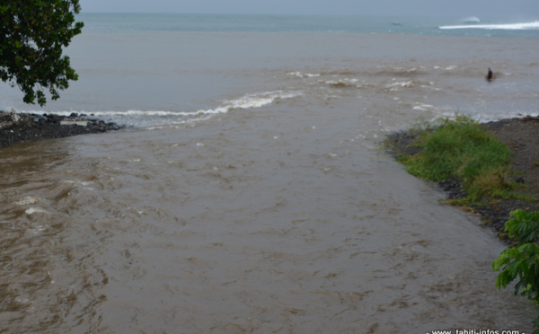 Après les inondations, le risque de leptospirose est élevé