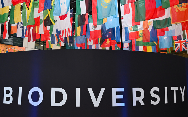 "Question de survie" : le monde se dispute à Rome sur le financement de la sauvegarde de la nature