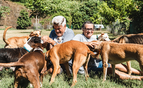 ​L’association Bora Bora Animara fait son bilan 2024