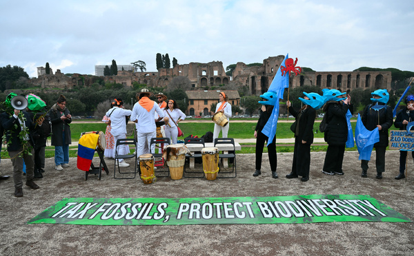 Le monde arrache un accord pour réformer le financement de la sauvegarde de la nature