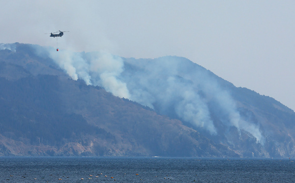 Le Japon déploie plus de 2.000 pompiers pour lutter contre d'importants feux de forêts