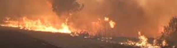 L'Indonésie sanctionne des sociétés impliquées dans les immenses feux de forêt