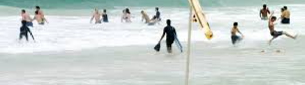 Australie: un requin bondit sur la planche d'un surfeur