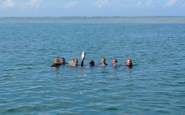 El Niño : Reef Check appelle les ultramarins au suivi des coraux