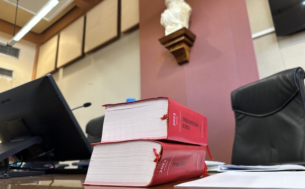 15 ans fermes pour le "bon samaritain" accusé de viols