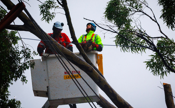 Australie: plus de 120.000 foyers toujours privés d'électricité après le passage d'Alfred
