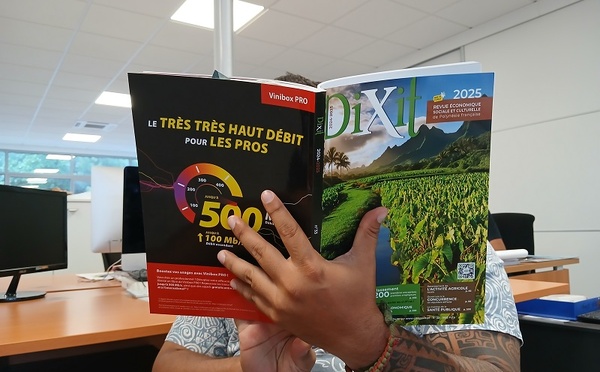 Le Dixit 2025 est arrivé