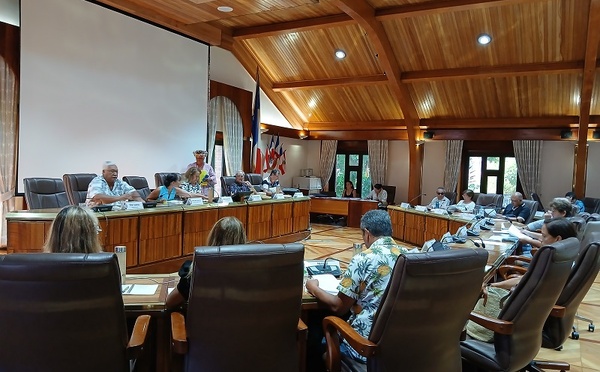 Le Cesec dit non à la réforme du code du travail