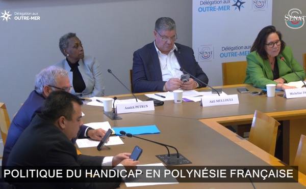 ​Le Sénat s’intéresse à la politique du handicap au fenua