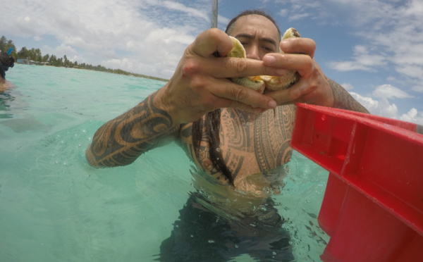 Production en baisse pour la pêche hauturière