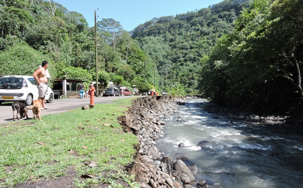 Les agents de Mahina mobilisés contre la leptopsirose