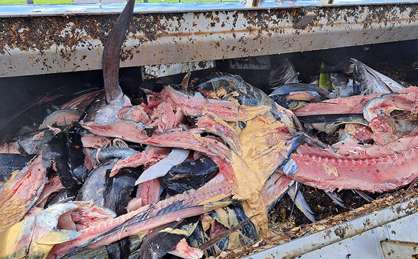 L'autonomie agricole s'organise entre tradition et innovation