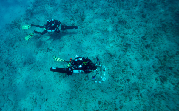 En Guadeloupe, la Réserve Cousteau sur le fil du rasoir
