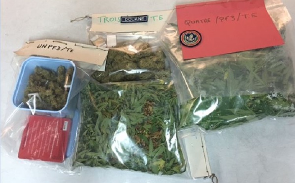 Port de Papeete : du paka saisi dans un véhicule