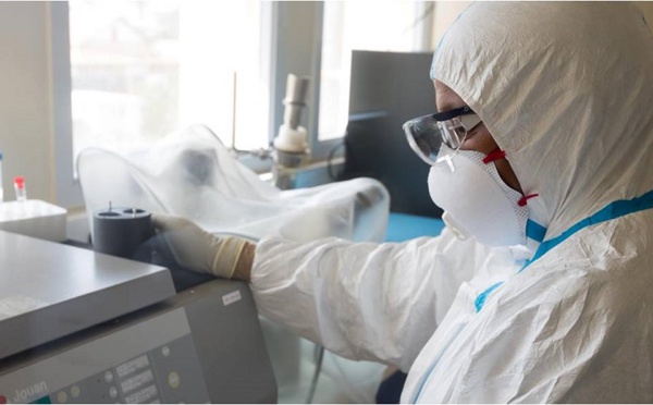 Le virus Zika qui circule en Amérique du sud est à plus de 99% le même qu'à Tahiti