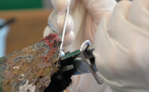 Perles : des chiffres en hausse mais contestés