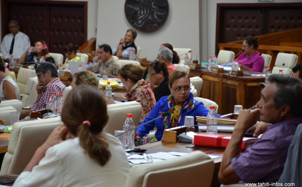 Le groupe des pro-Fritch est officiellement créé à l'Assemblée
