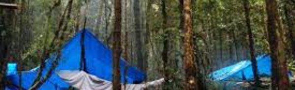 Une touriste américaine victime d'un viol collectif en Papouasie