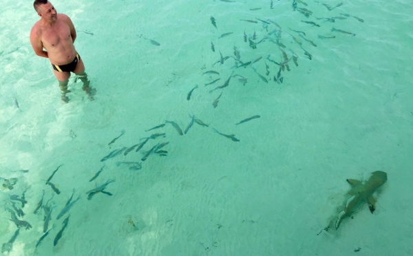 Un touriste américain fait la promo des Tuamotu en video : top !